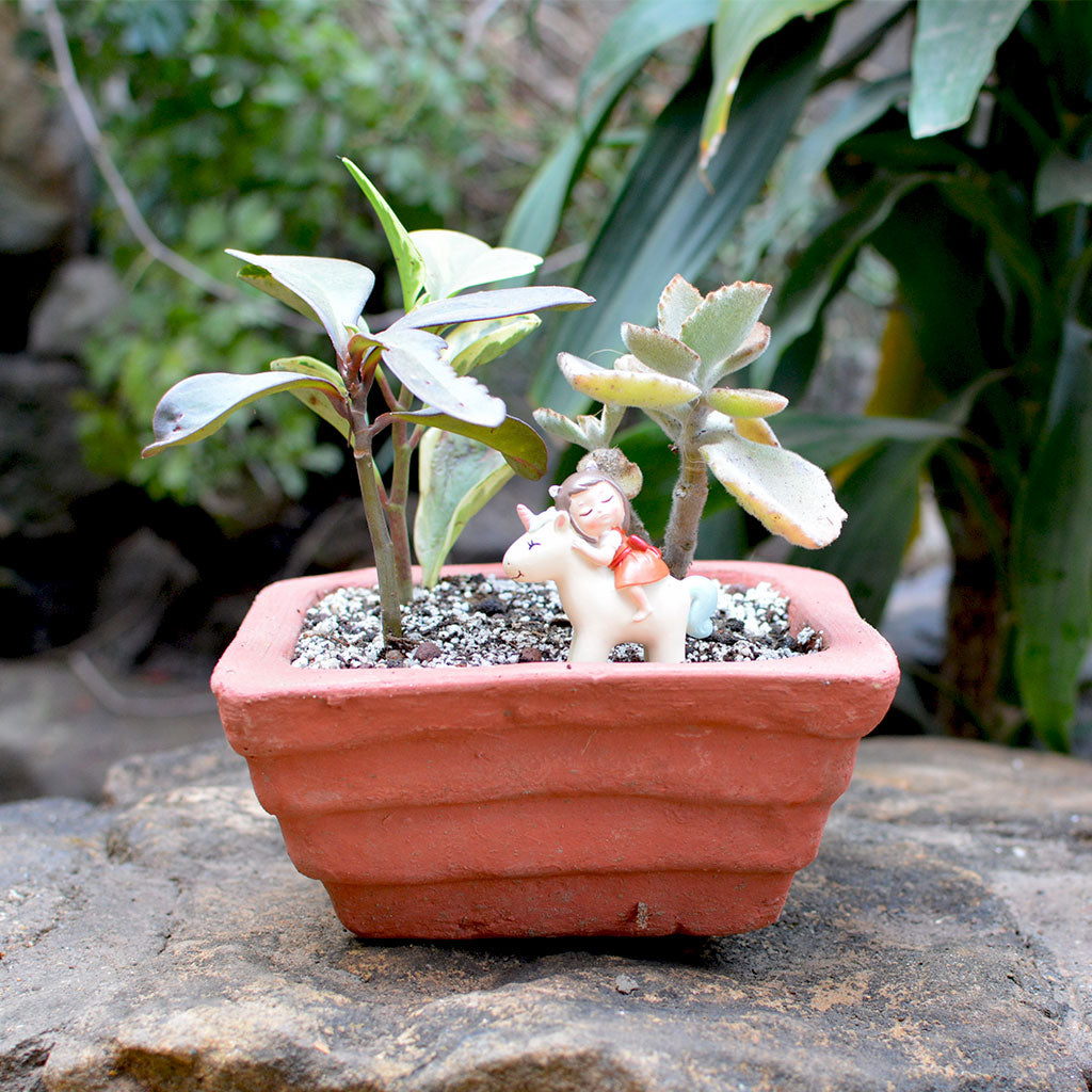 Set of 3 Medium Conical Lined Terracotta Pot front view – myBageecha