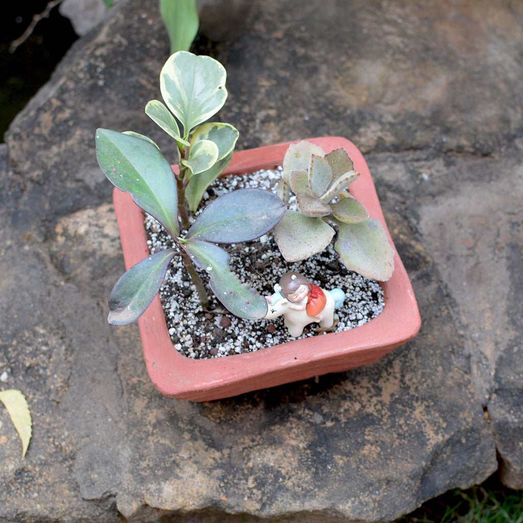Top view of Conical Lined Terracotta Pots - myBageecha