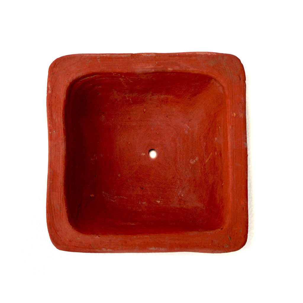 Close-up of conical shape