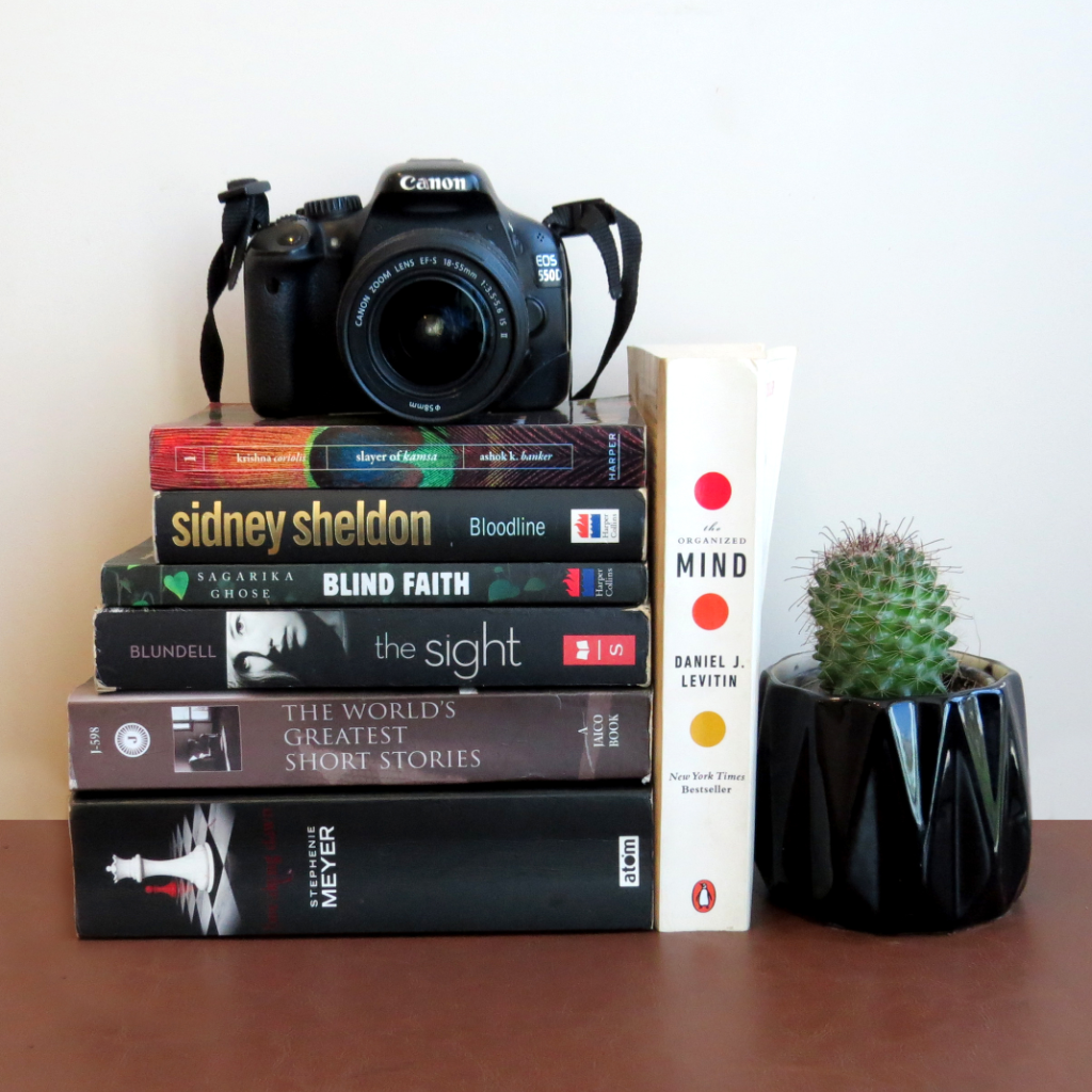 Maeve Ceramic Planter – myBageecha