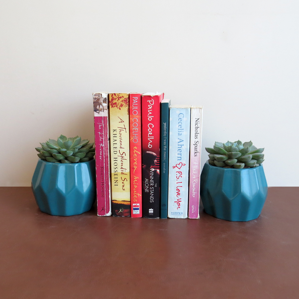 Mateo Ceramic Planter – myBageecha