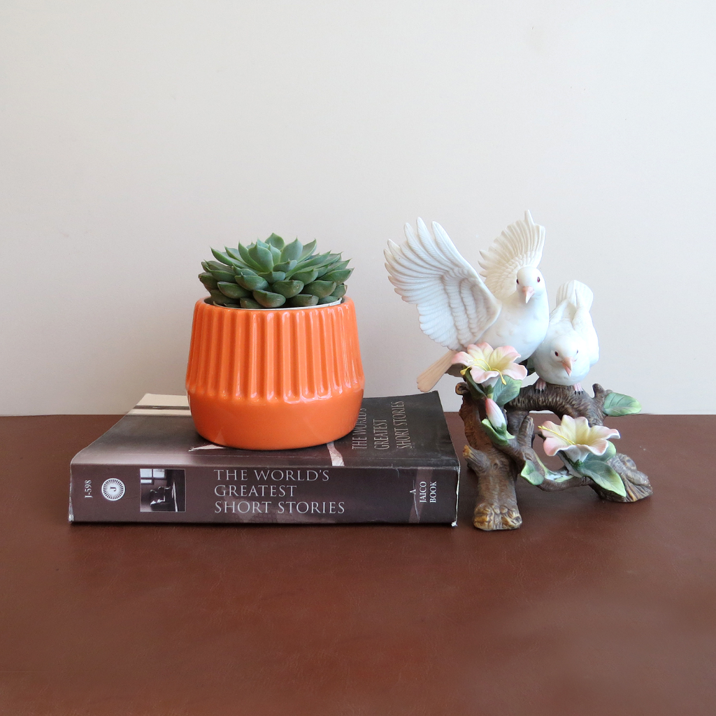 Maven Ceramic Planter - myBageecha