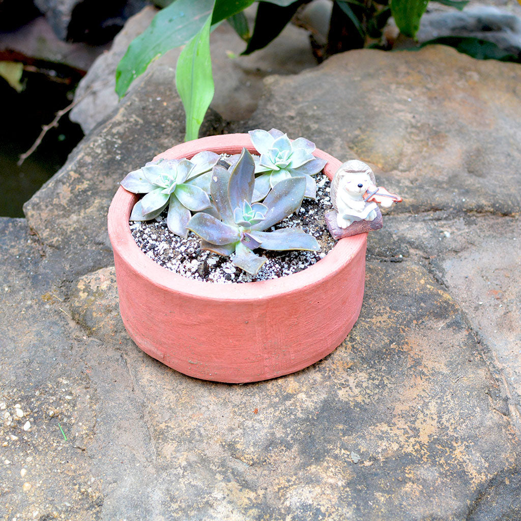 Close view of Circular Terracotta Pots - myBageecha