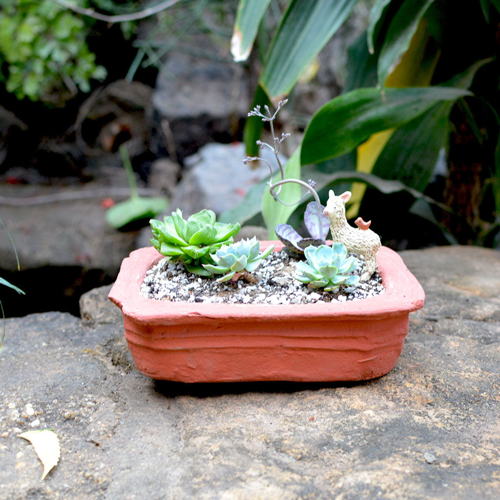 Set of 3 Lined Rectangle Terracotta Pot front view – myBageecha