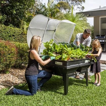 Medium Raised Garden Bed with Garden Cover - myBageecha