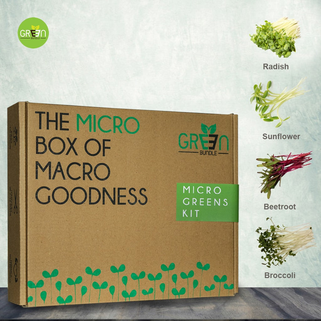 Sustainable grow kit for gifting- myBageecha
