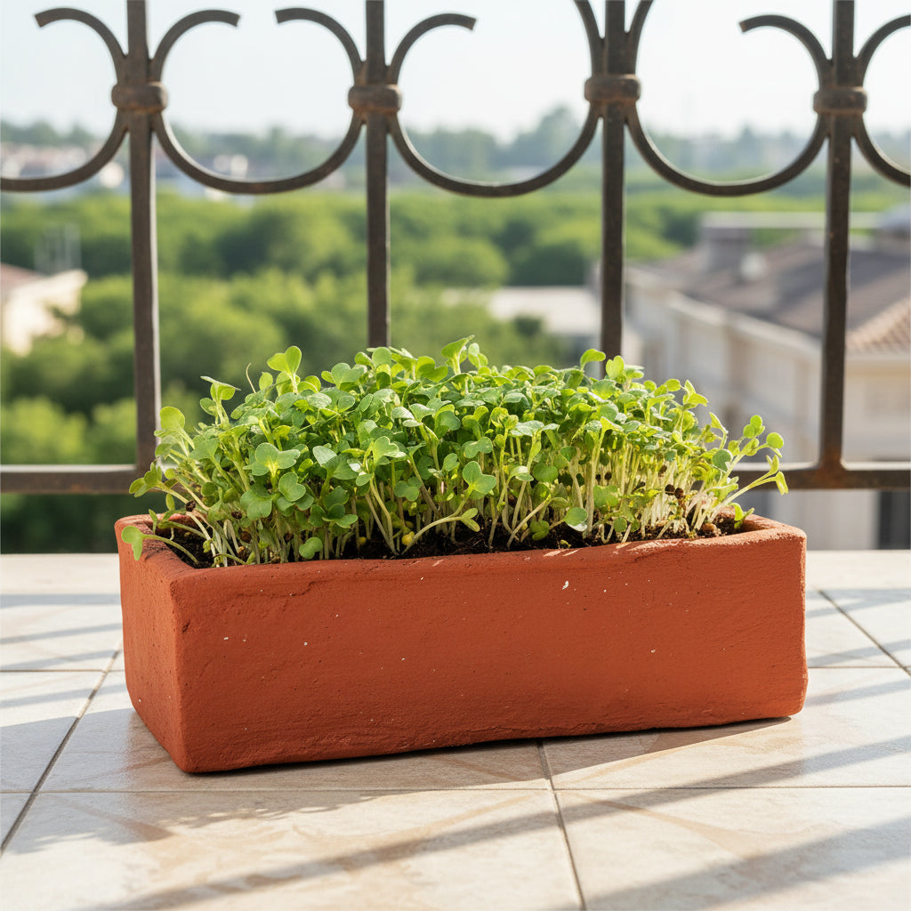 4 pots for planting Buy Terracotta Grow Pots – Set of 4 Clay Planters for Microgreens