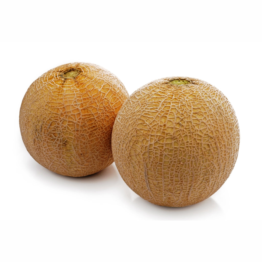 Musk Melon Indam MH38 annual hybrid crop – myBageecha