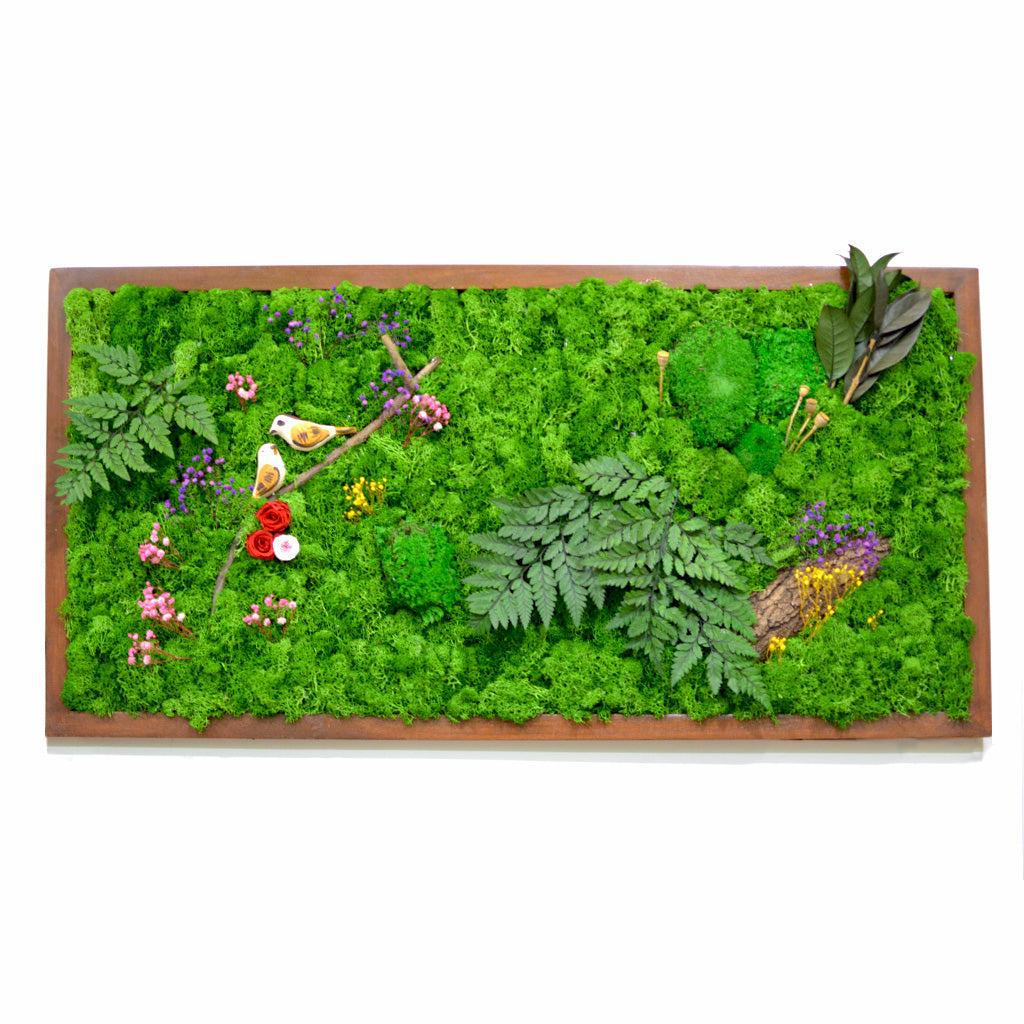 Nature's Trail Preserved Moss Frame with Dark Wood - myBageecha
