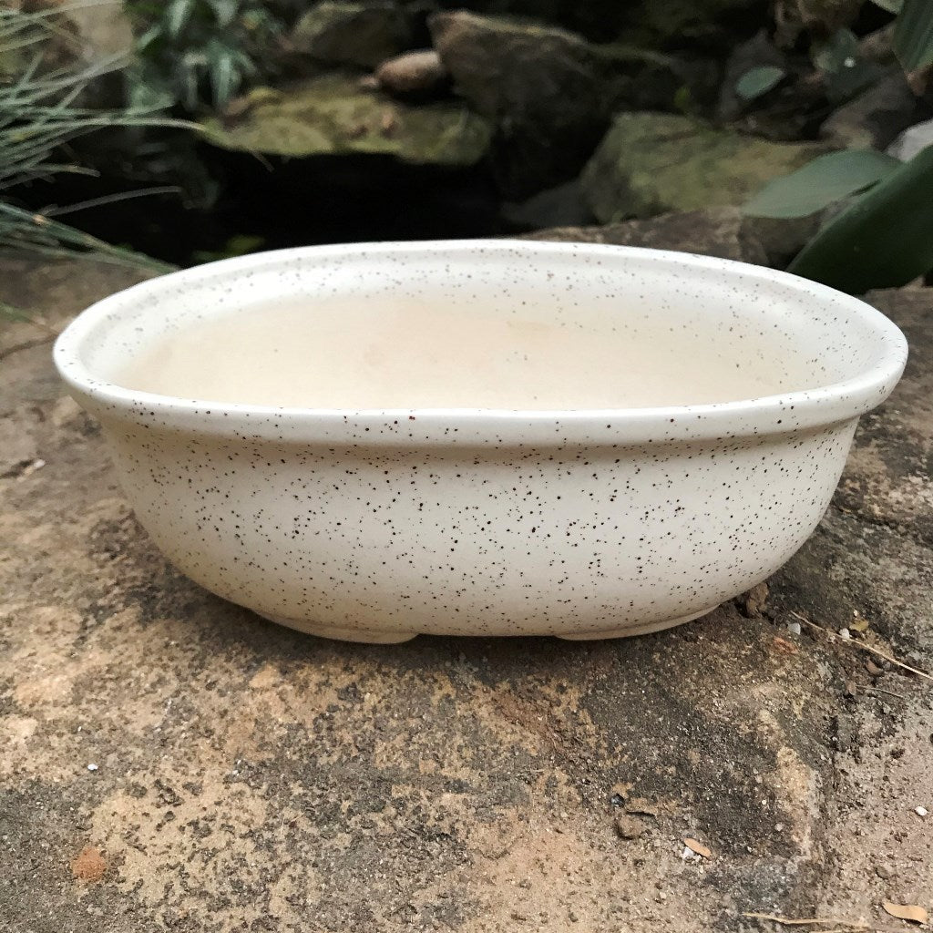 Speckled Bonsai Ceramic Planter - myBageecha