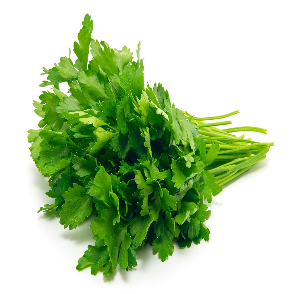 Organic Curled Parsley biennial herb crop – myBageecha