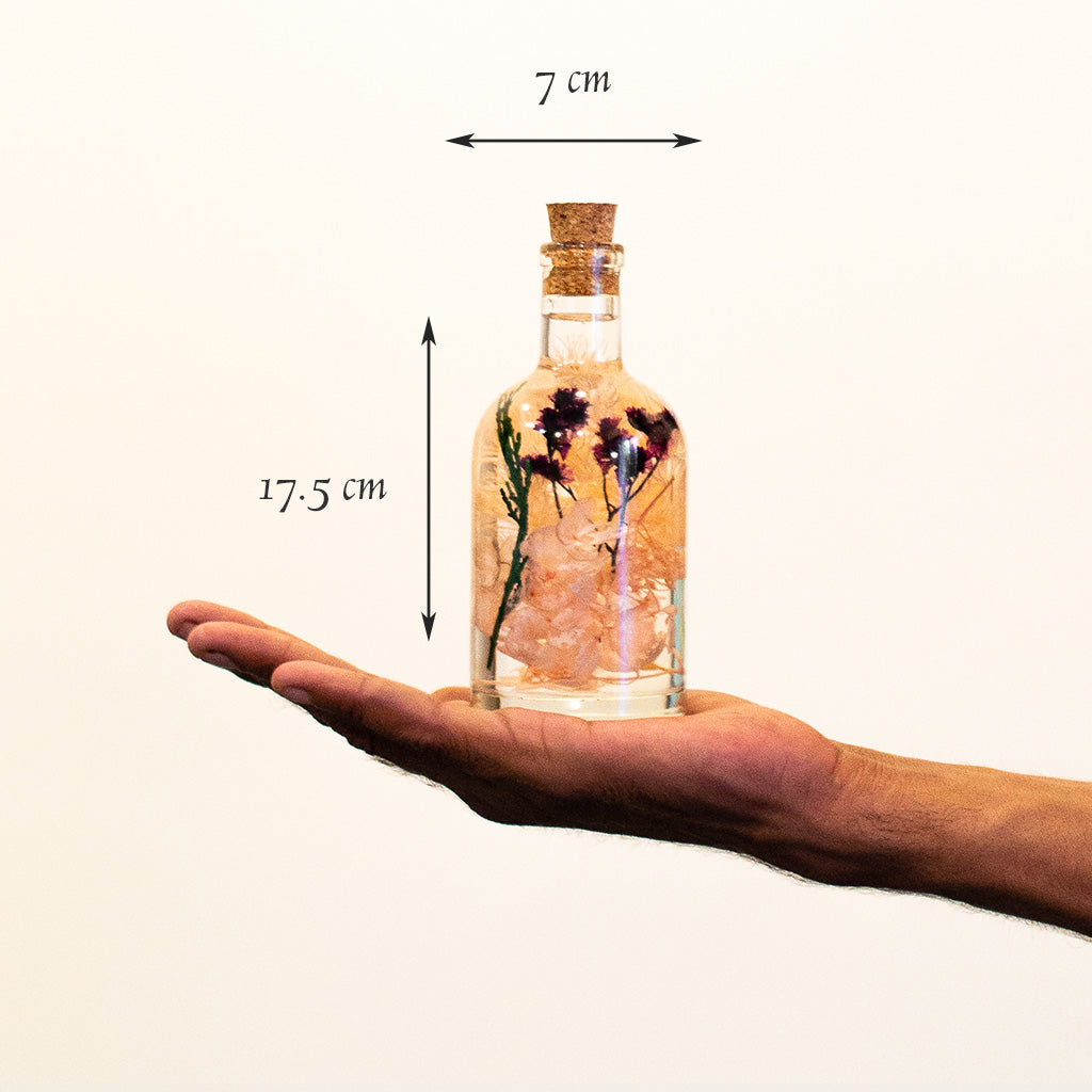 Peachy Peep preserved bottle shown individually – peach pastel preserved décor piece.