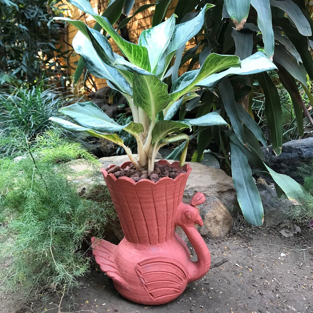 Peacock Terracotta Pot front view – myBageecha