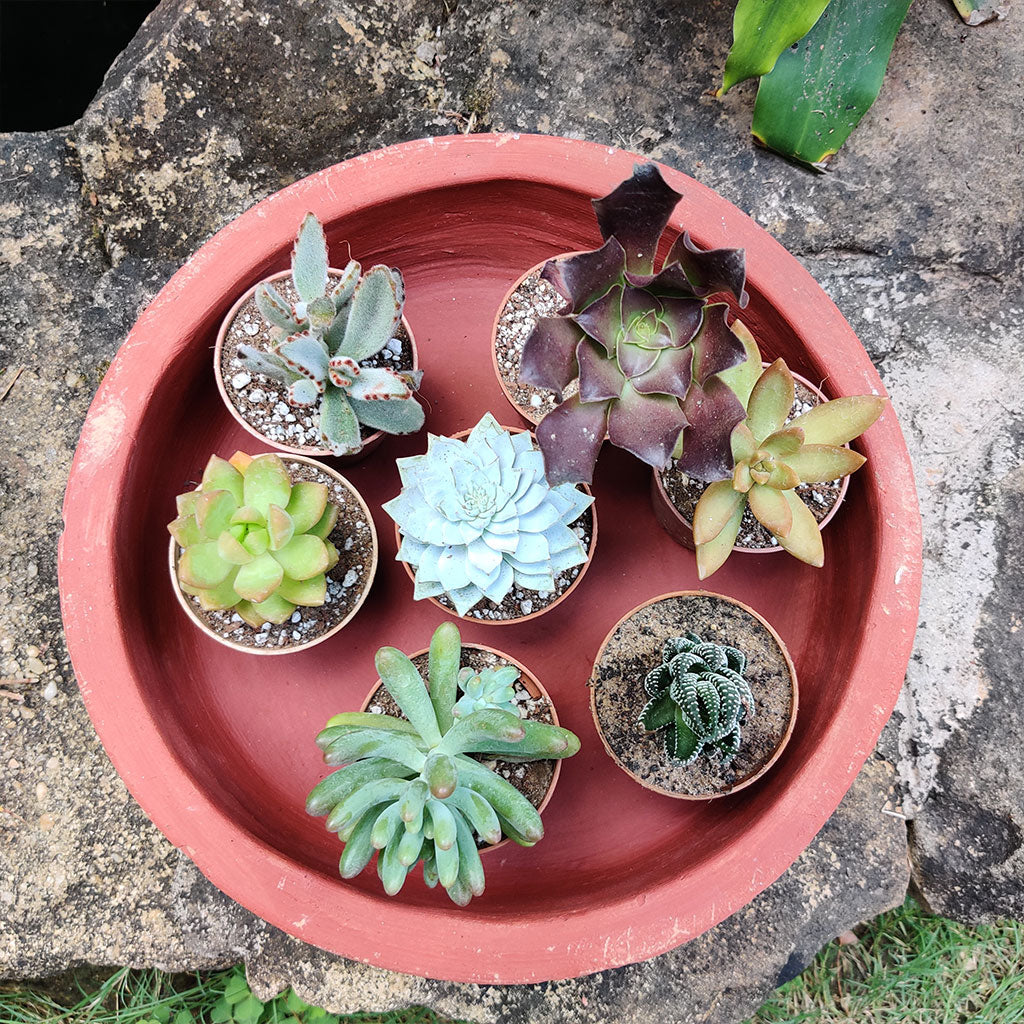 Set of 2 Plain Circular Terracotta Pot top view – myBageecha