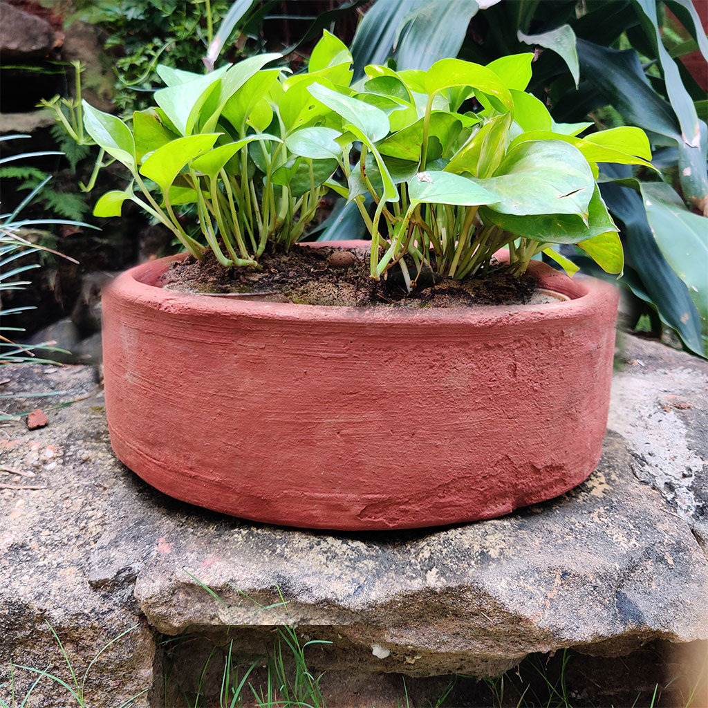 Circular Terracotta Pots close view