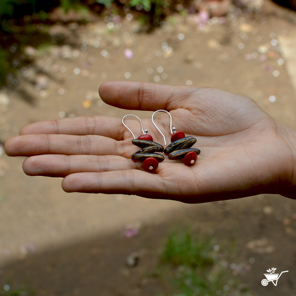 Prolix Denolix Dried Seed Earrings - myBageecha
