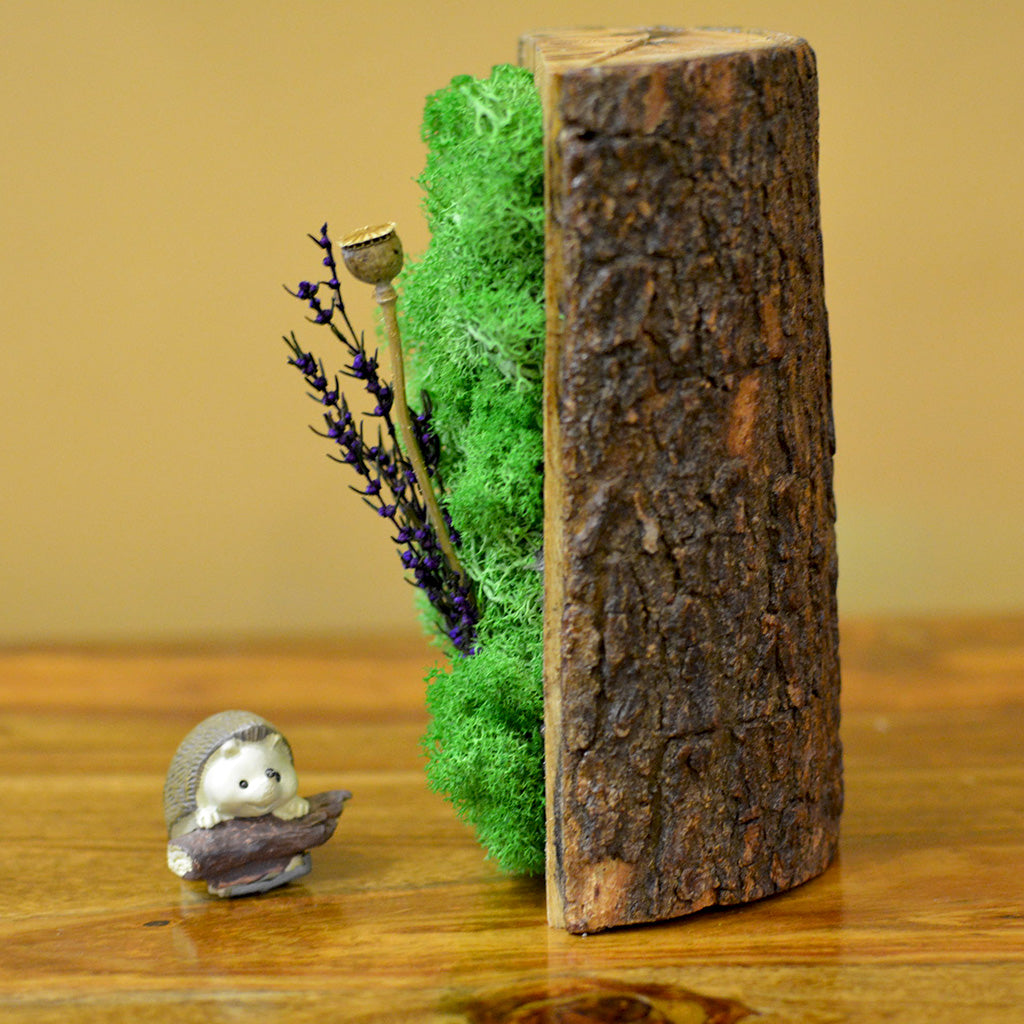 Close-up of purple & poppy blooms with moss