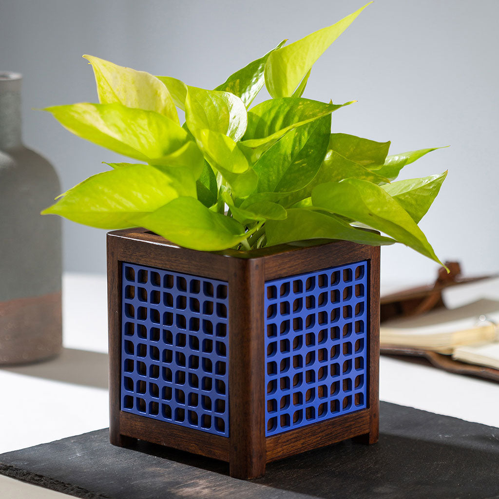 QUBO Leafy Handmade Wooden Indoor Planter Pot - myBageecha