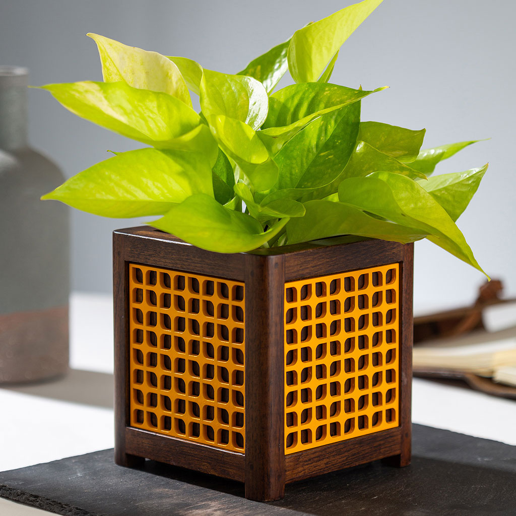 QUBO Leafy Handmade Wooden Indoor Planter Pot - myBageecha