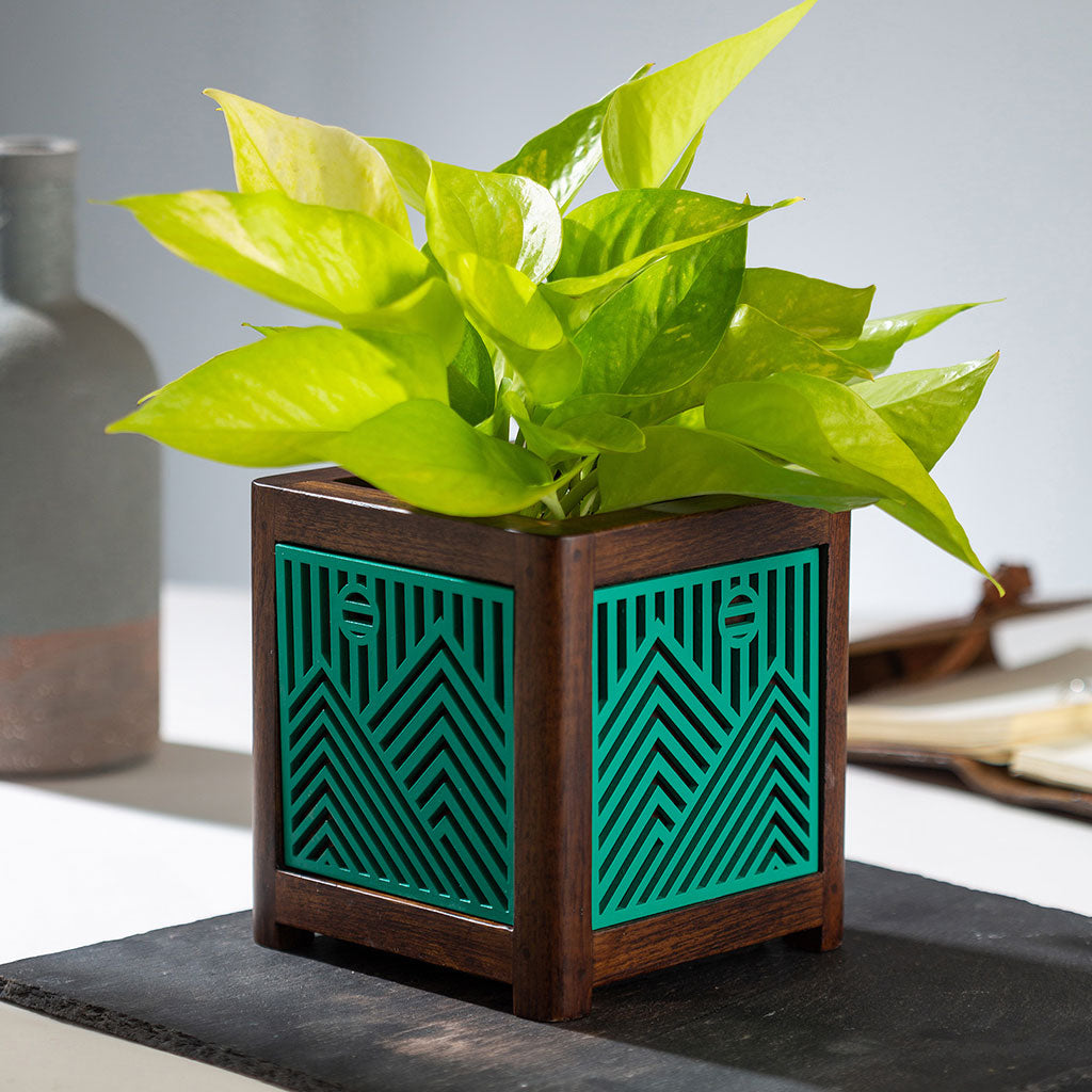QUBO Story Handmade Wooden Indoor Planter Pot - myBageecha
