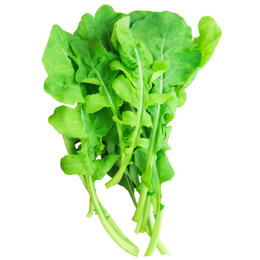 Arugula Rocket annual leafy herb – myBageecha