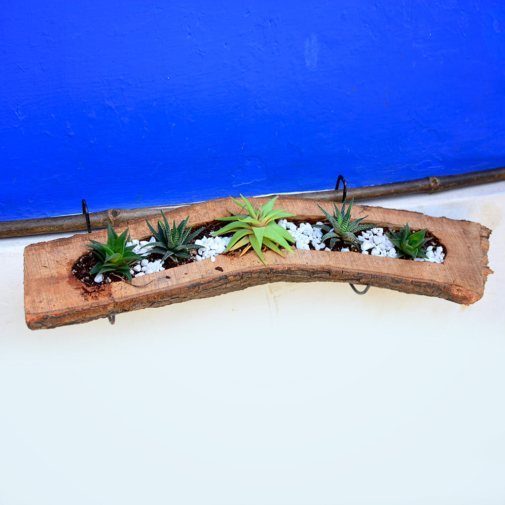 Raw Wooden Railing Planter with Metal Stand - myBageecha