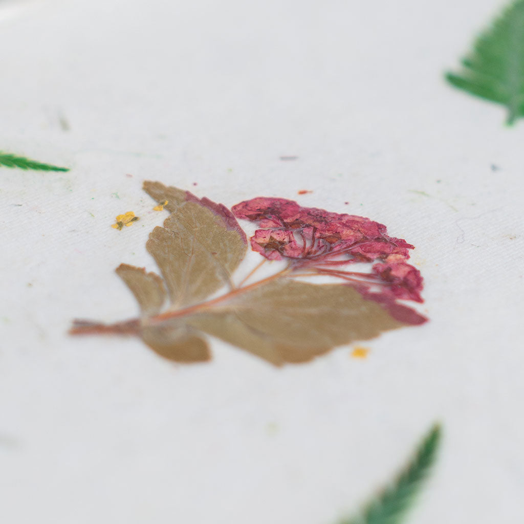 A Rhyming Contour Pressed Flower Diary - myBageecha