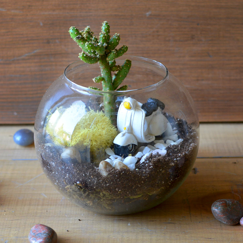 Rider of the Storm Terrarium Kit - myBageecha