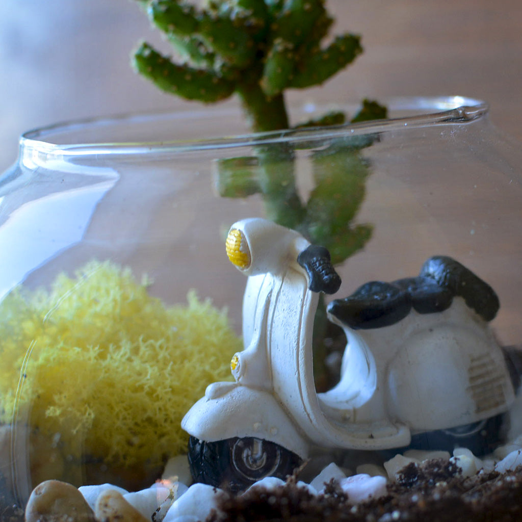 Rider of the Storm Terrarium Kit - myBageecha