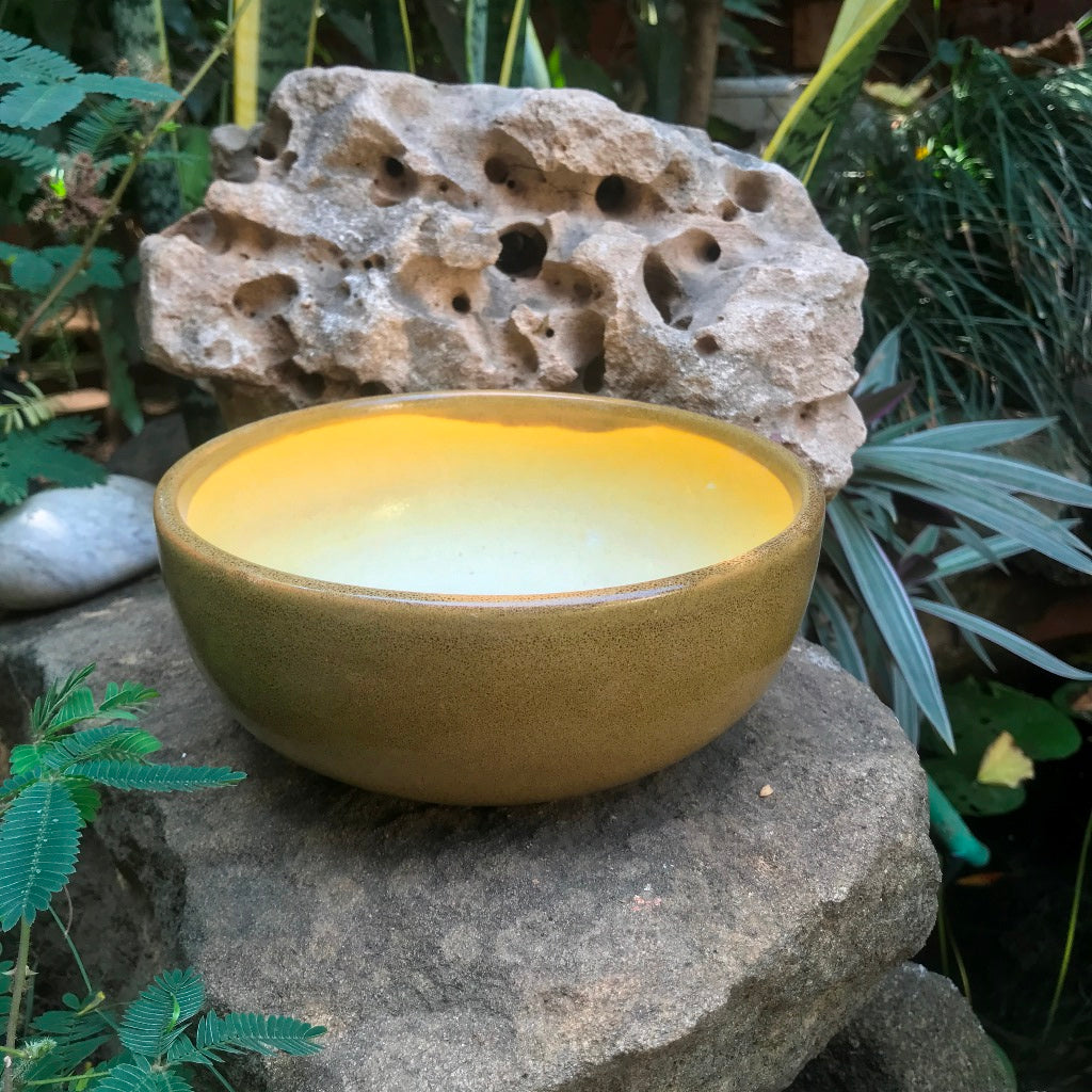 Exotic Metallic Bonsai Ceramic Pot (Medium) – Knox Gold – myBageecha