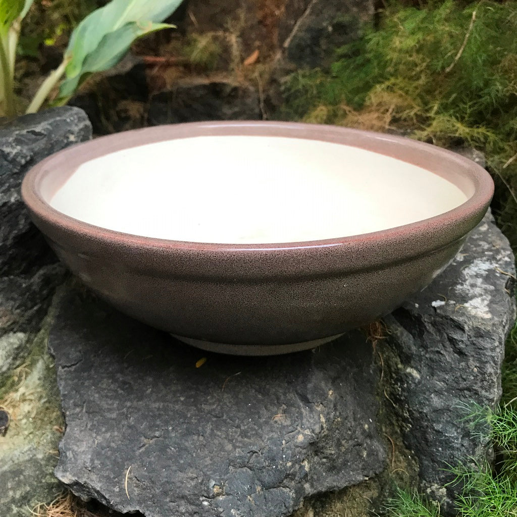 Exotic Metallic Bonsai Ceramic Pot (Large) – Daytona Violet – myBageecha