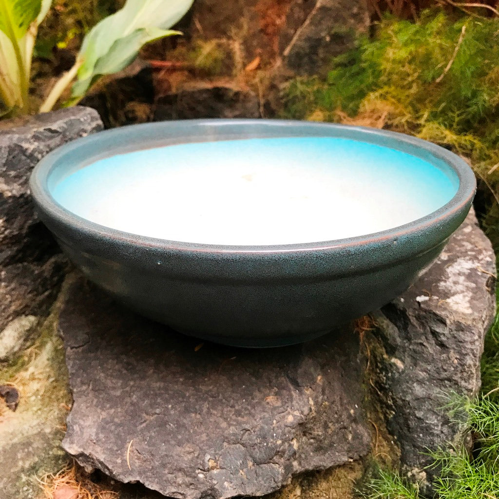 Exotic Metallic Bonsai Ceramic Pot (Large) – Pacific Blue – myBageecha