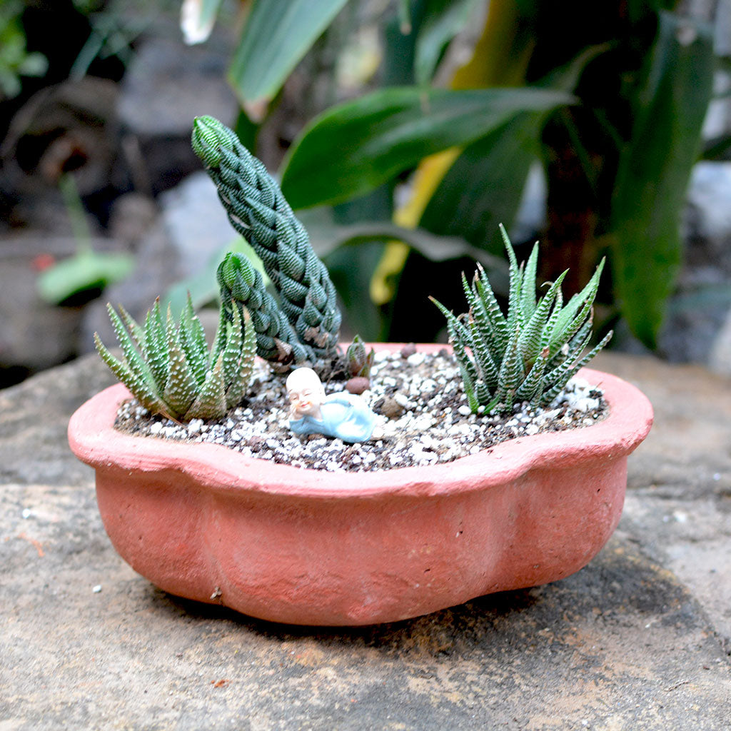 Set of 3 Medium Petal Cornered Terracotta Pot front view – myBageecha