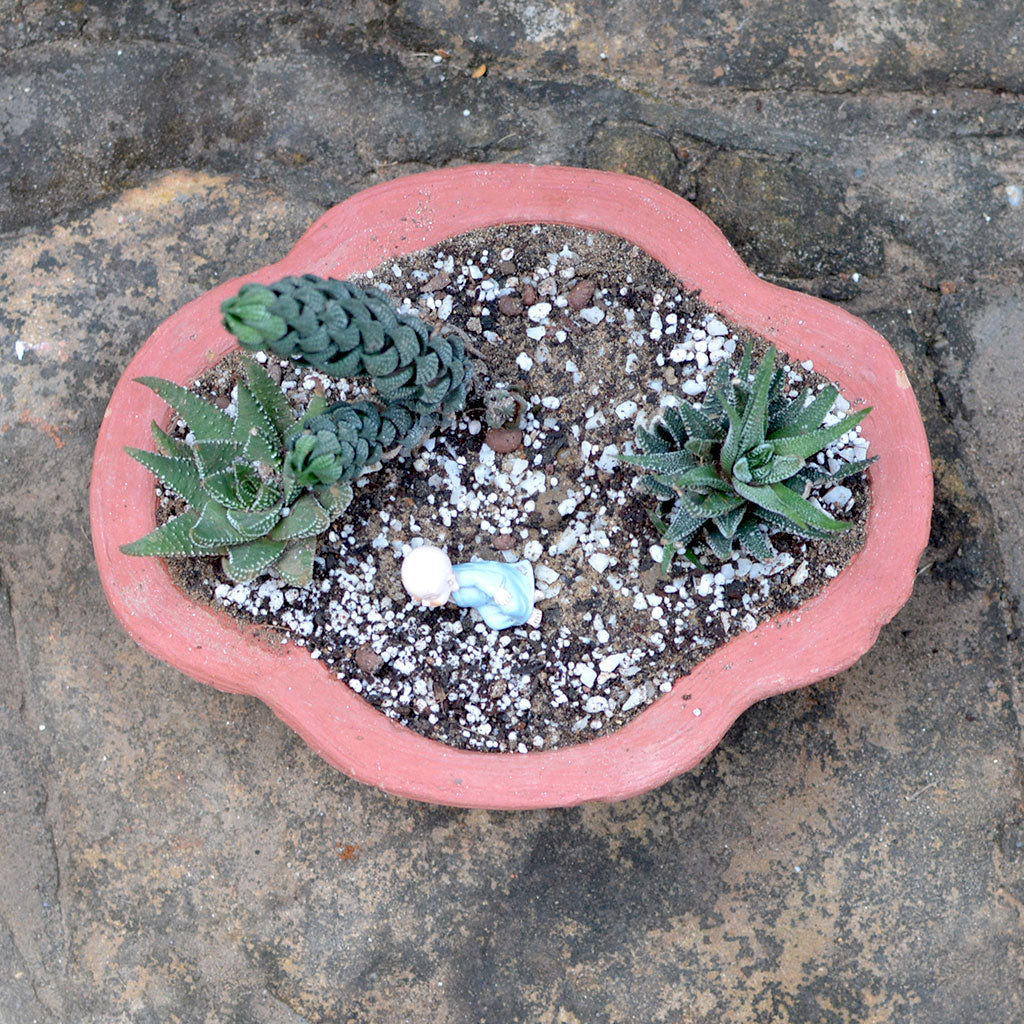 Set of 3 Medium Petal Cornered Terracotta Pot - myBageecha