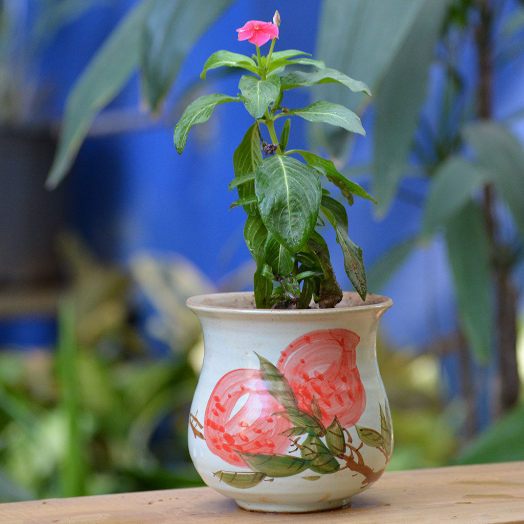 Rummage in Wild Ceramic Pot - myBageecha
