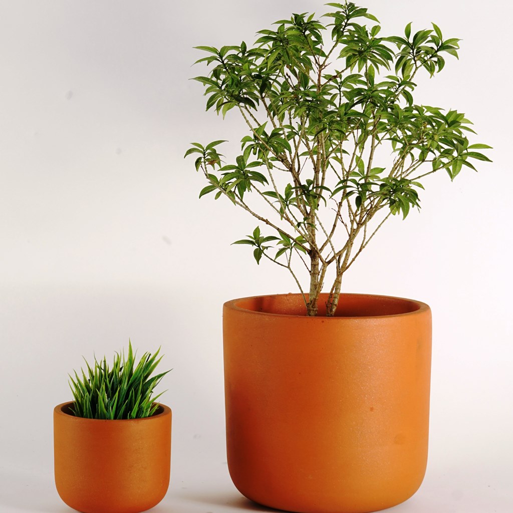 Close view of the Set of 3 Kyna Terracotta Pot - myBageecha