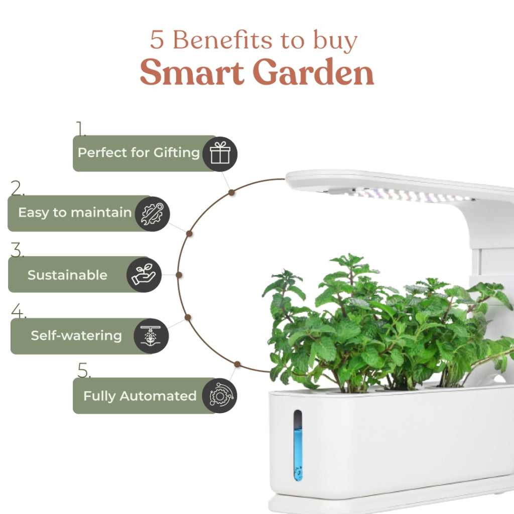 Smart Garden-Indoor Hydroponic Growing Kit -3 Pods - myBageecha