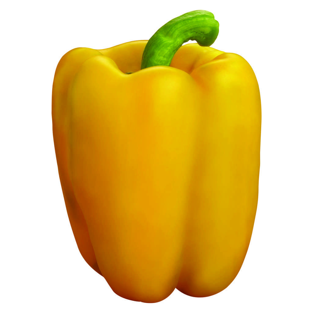 Capsicum Super Gold annual hybrid crop – myBageecha