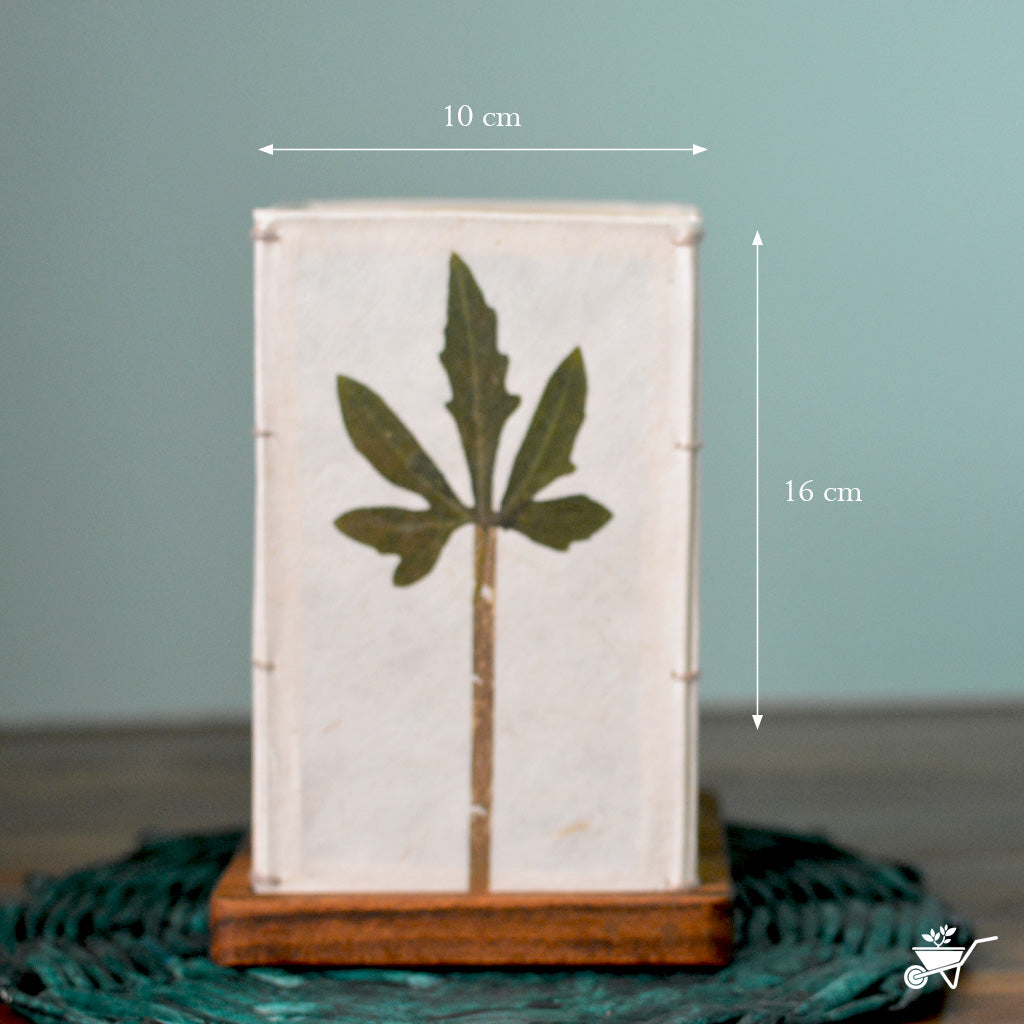 Seeking Solitude Pressed Flower Candleshade - myBageecha