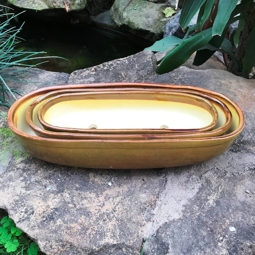 Top View of Set of 3 Chiselled Know Gold Bonsai Ceramic Tray - myBageecha