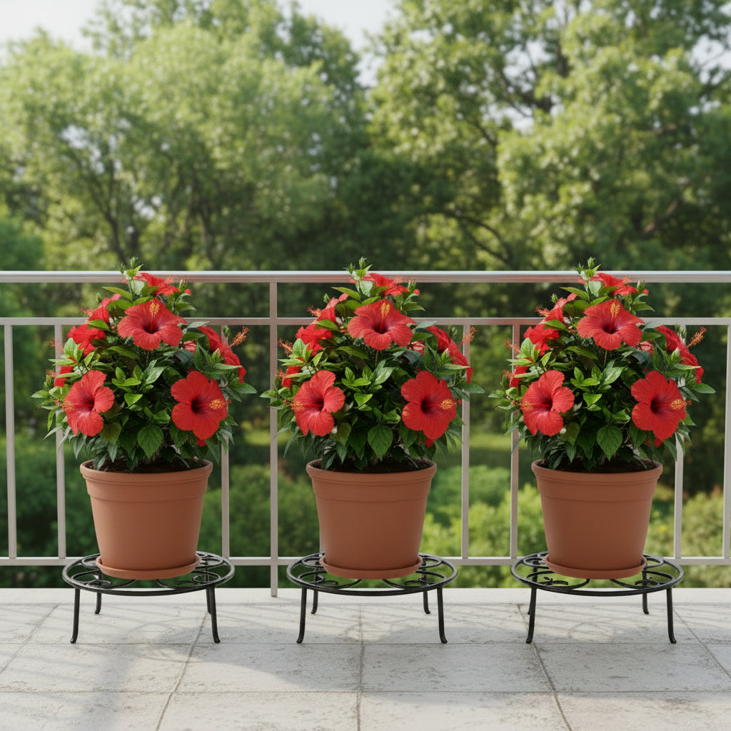 Set of 3 Floral Wrought Iron Small Planter Stand- myBageecha
