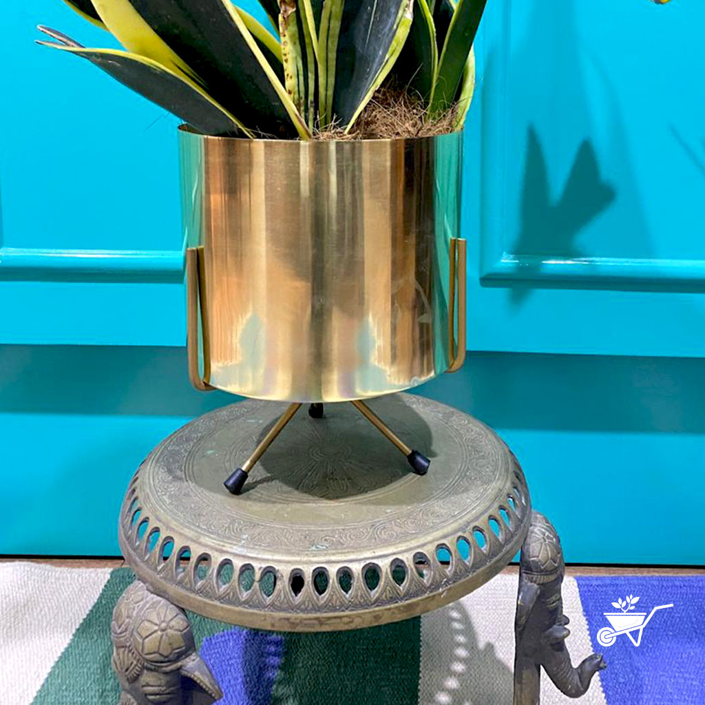 Shimmering Mirth Metal Pot with Stand - myBageecha