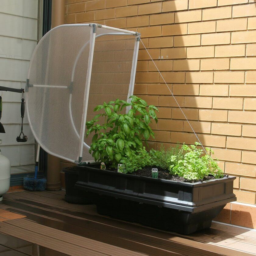 Small Raised Garden Bed with Garden Cover - myBageecha