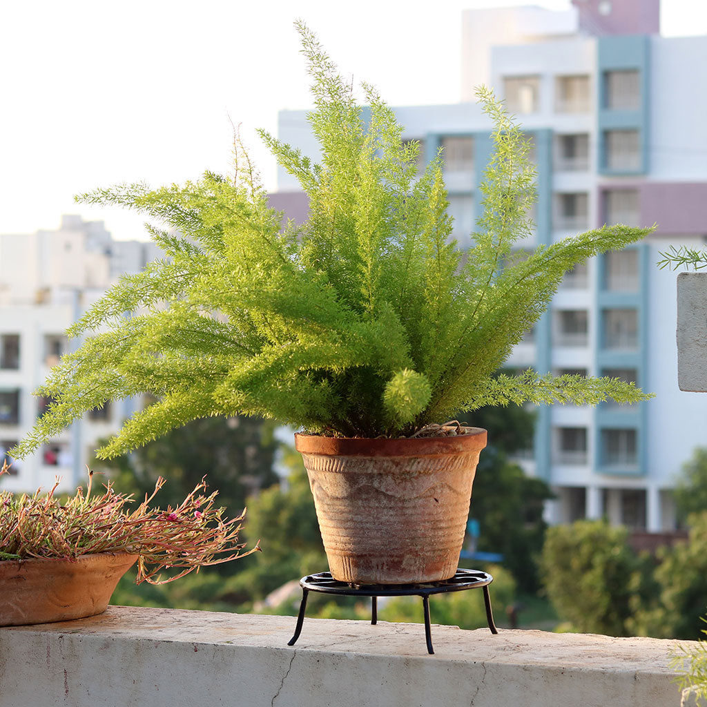 Set of 3 Wrought Small Planter Stand - myBageecha