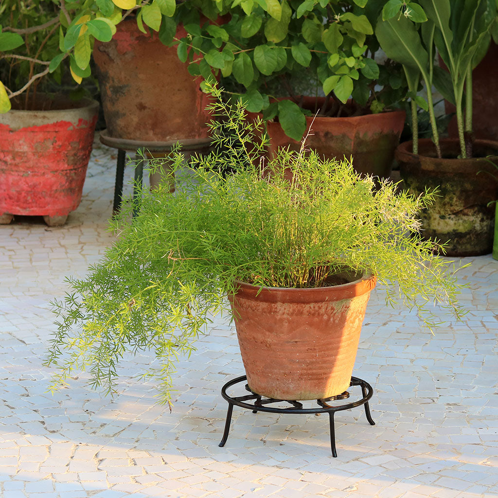 Set of 3 Wrought Small Planter Stand - myBageecha