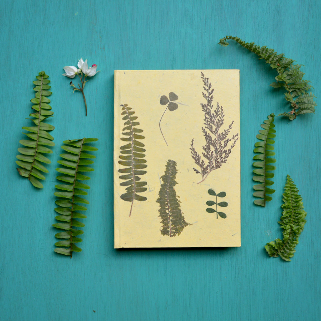 Something about Ferns Pressed Flower Diary - myBageecha