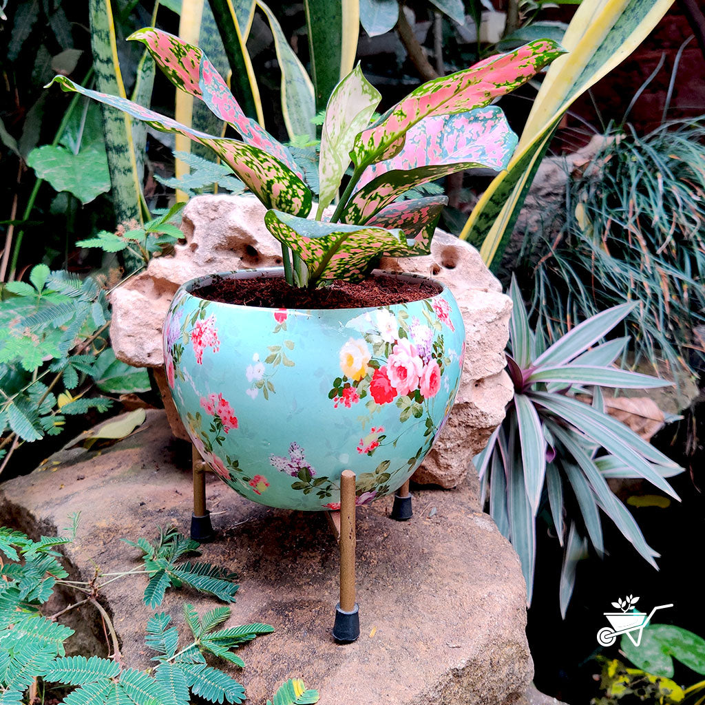 Splashy Roses Metal Pot with Stand - myBageecha