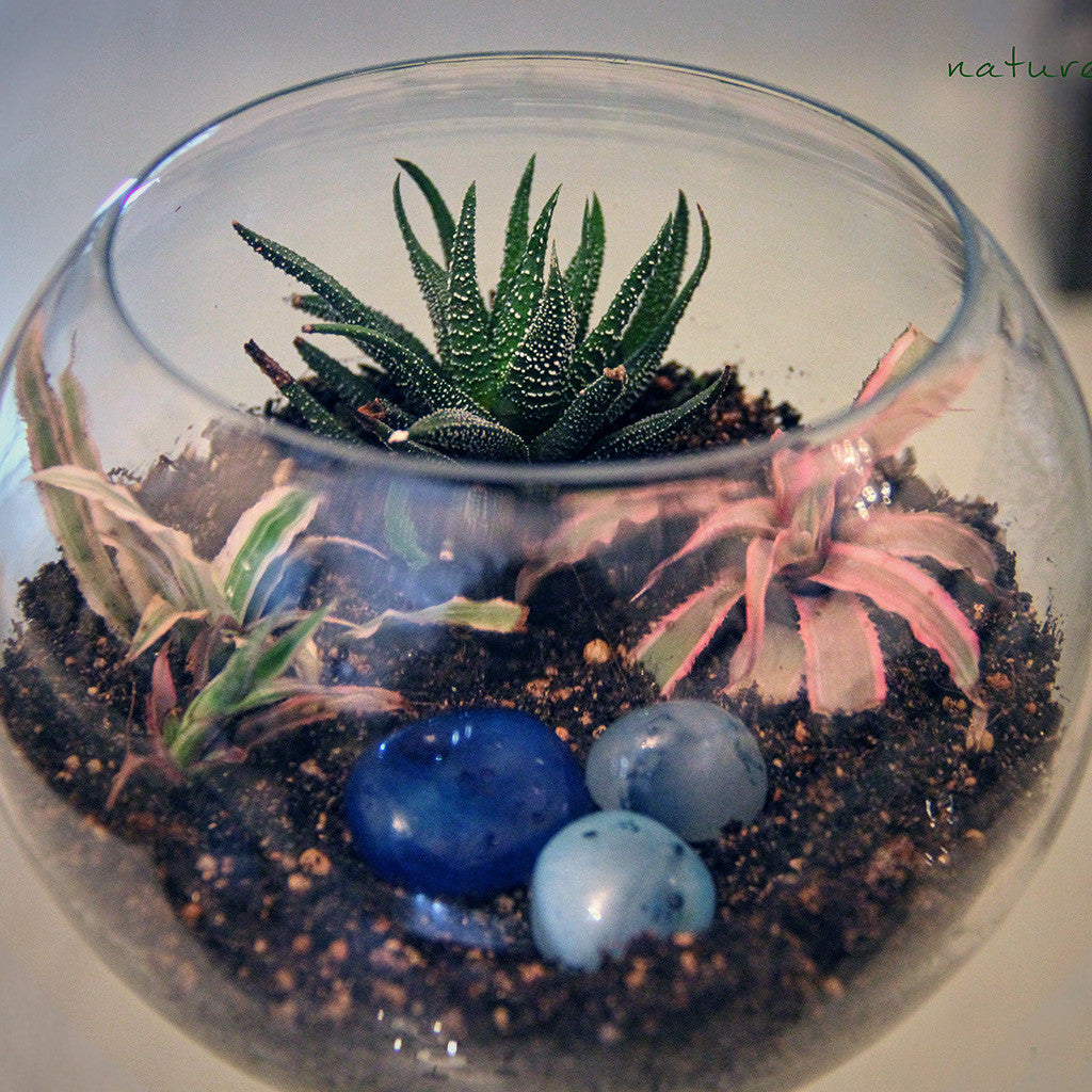 fish bowl planter pots 5" Fish Pot Glass Planter