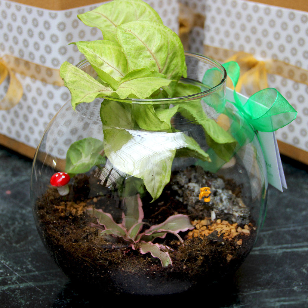 10" Fish Pot Planter With Neck Garden Essentials myBageecha - myBageecha