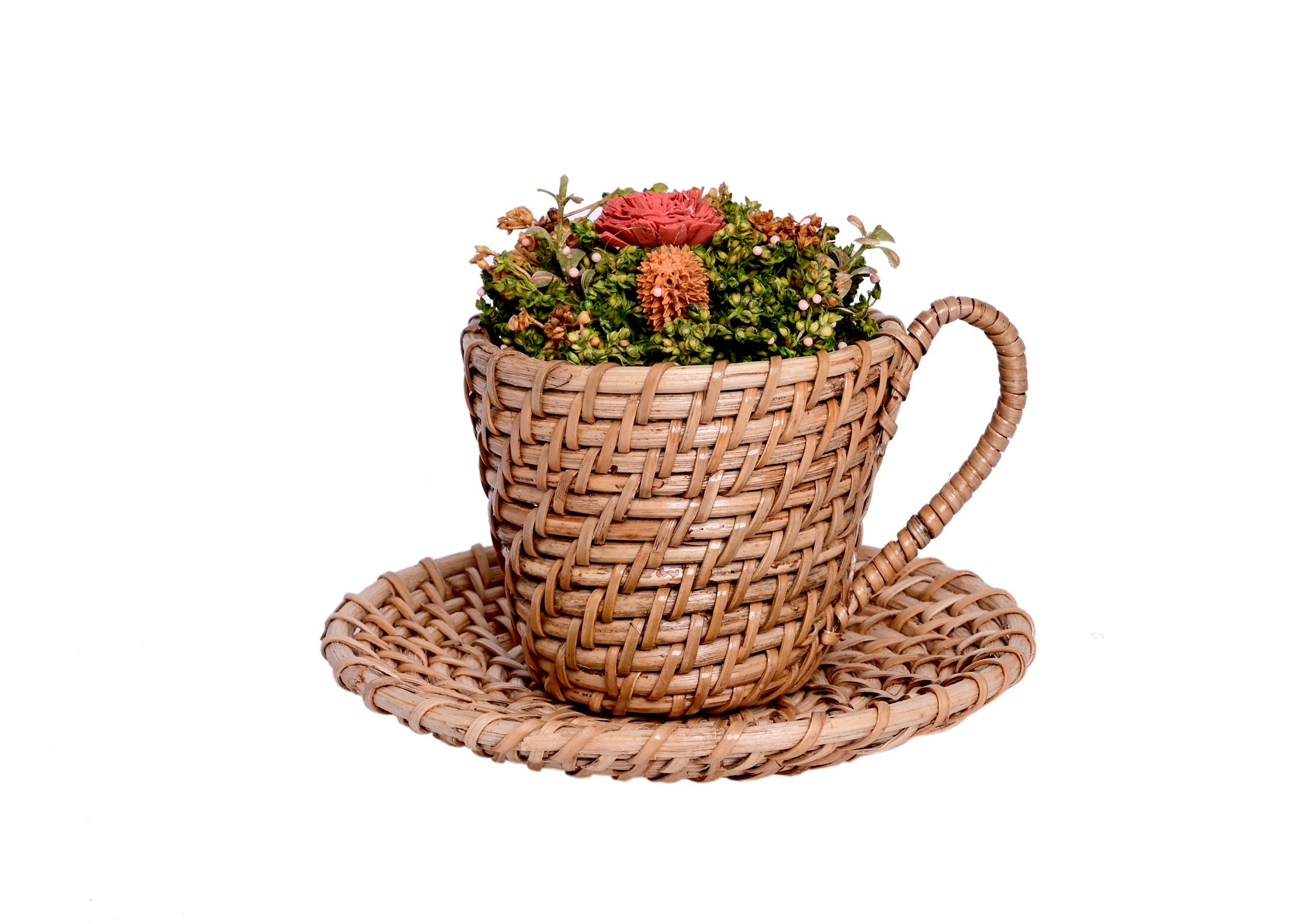 Cup and Saucer Natural Cane Handmade Planter - myBageecha